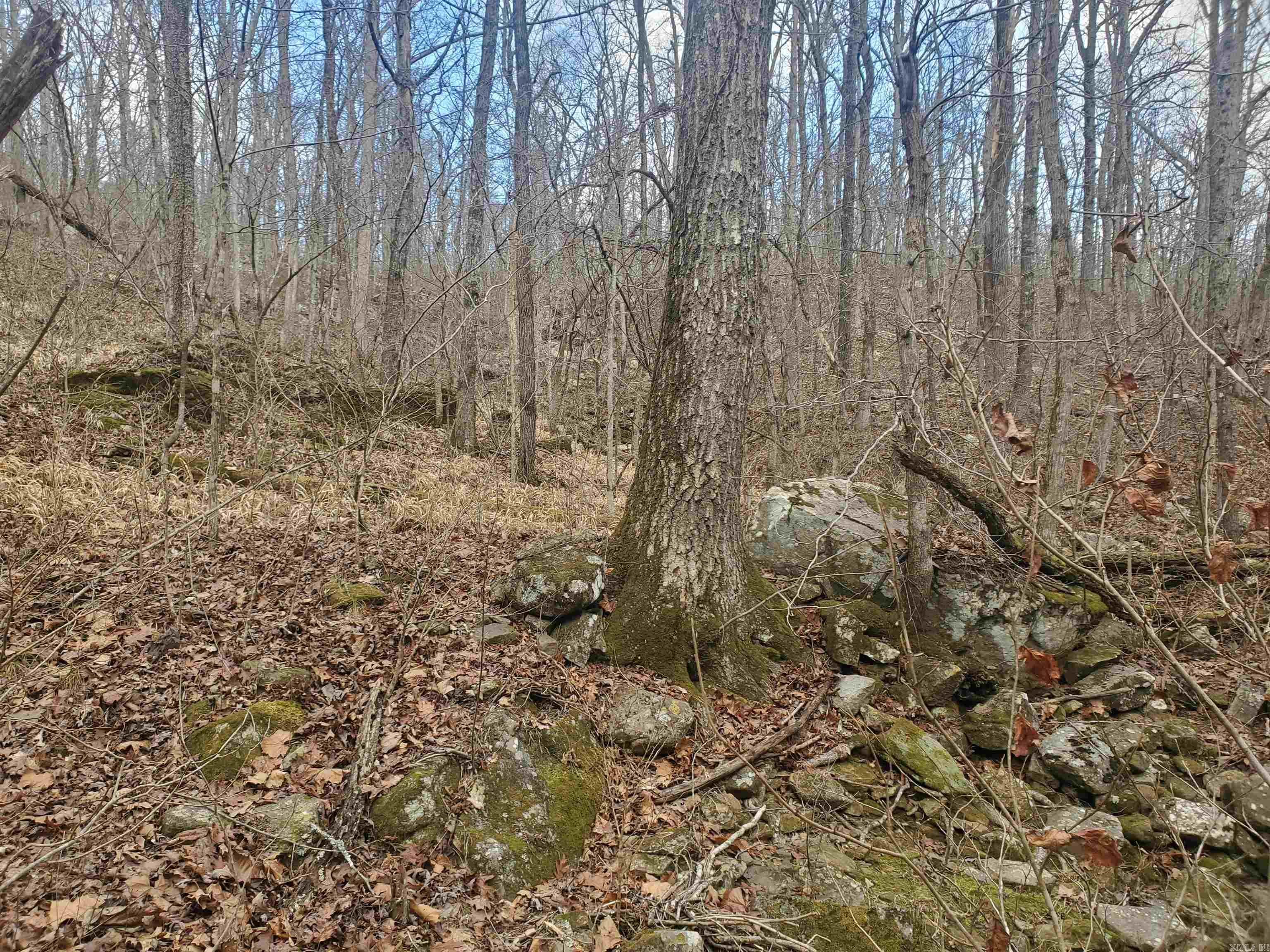 2340 Shady Grove Road Property Photo 10