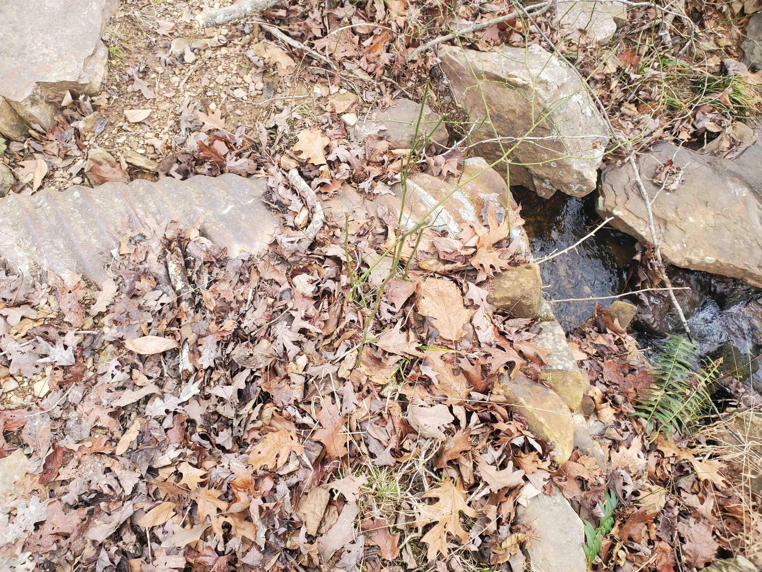 2340 Shady Grove Road Property Photo 11