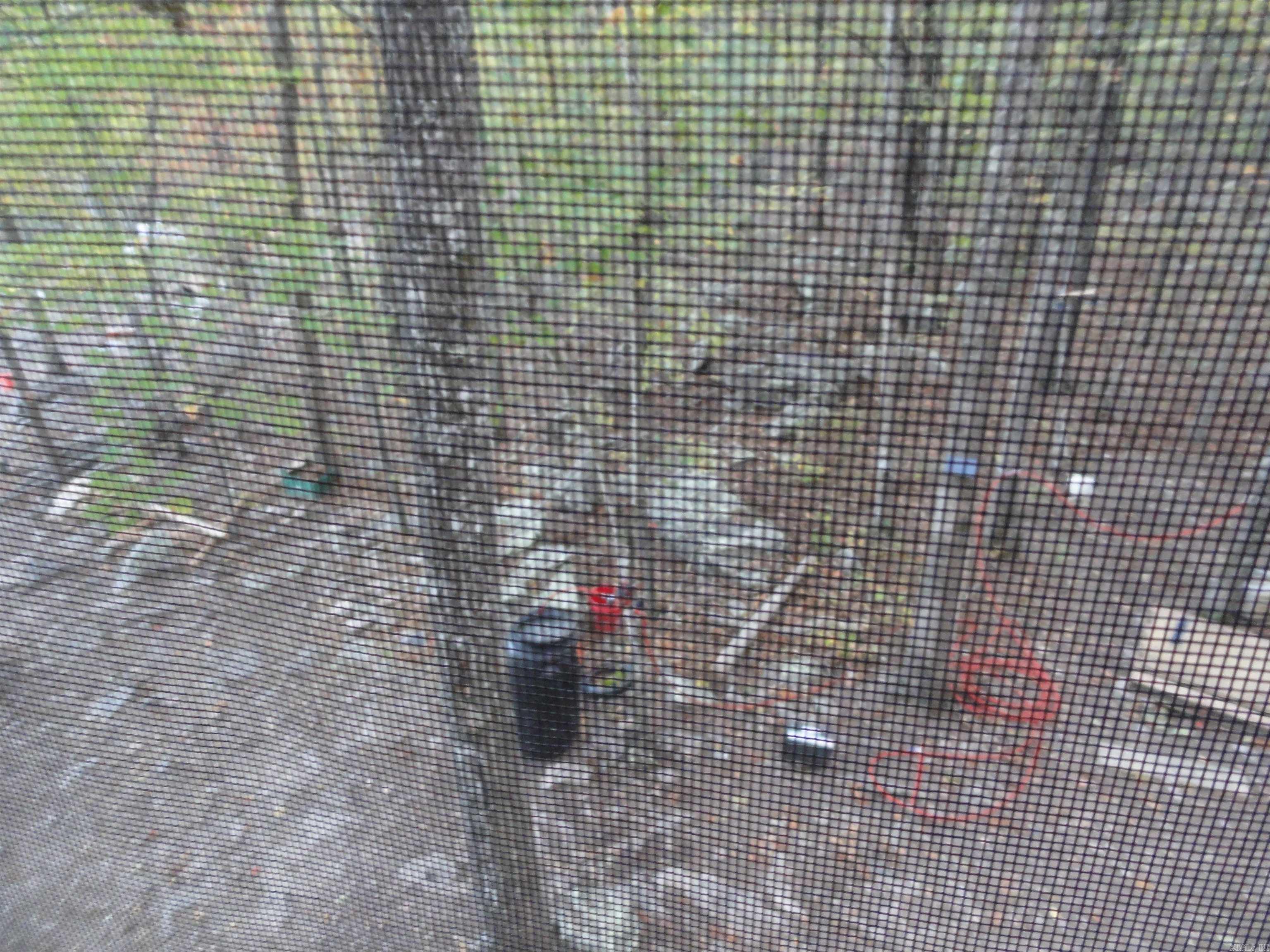 2340 Shady Grove Road Property Photo 40