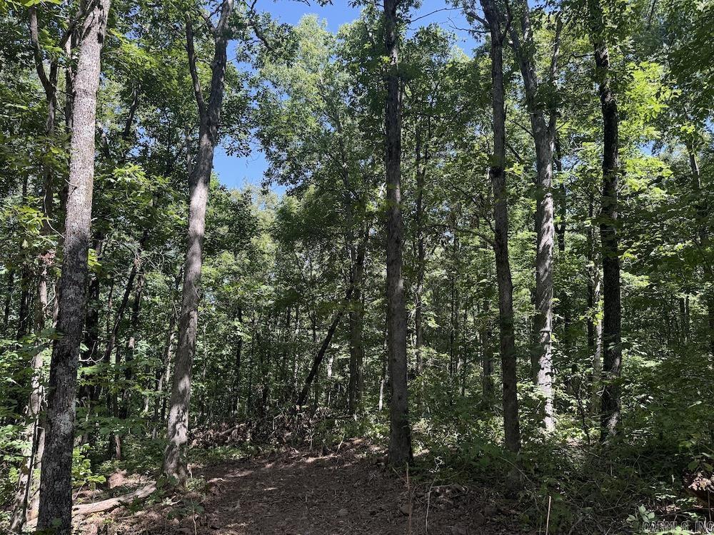 Cr 959 Property Photo 5