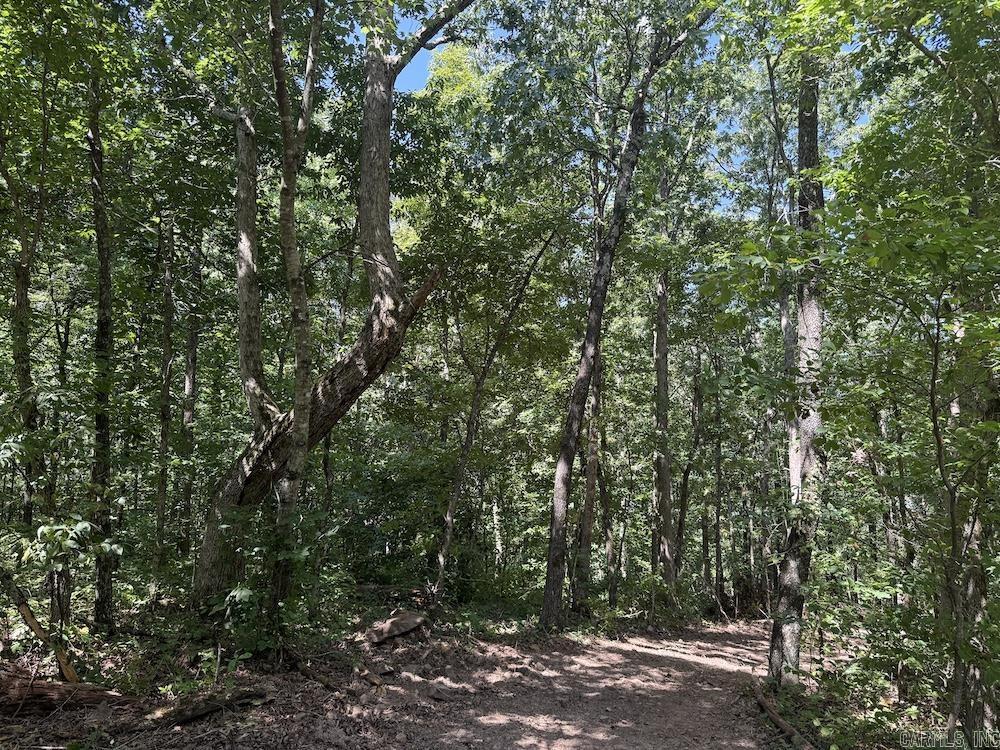 Cr 959 Property Photo 22