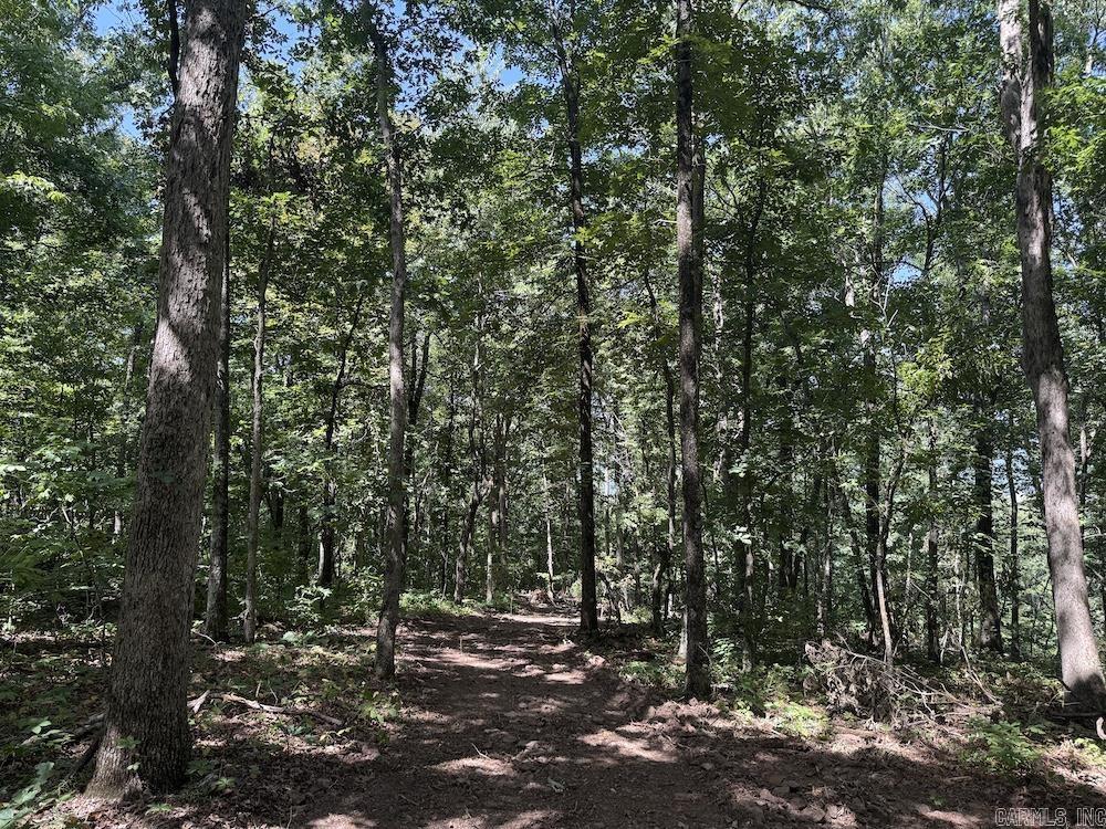 Cr 959 Property Photo 24