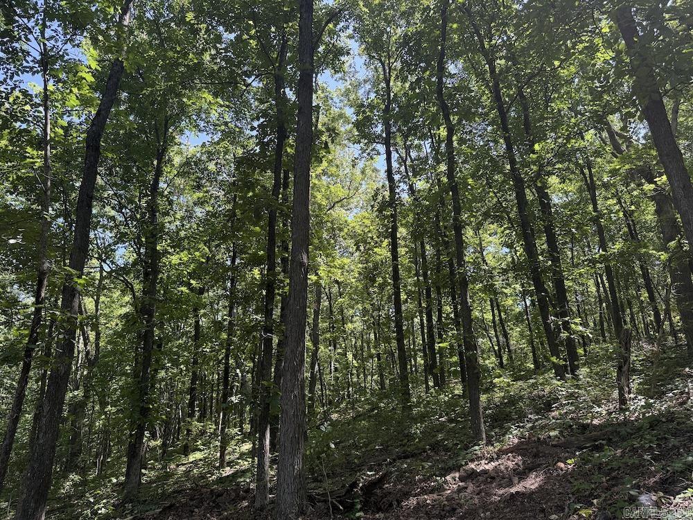 Cr 959 Property Photo 27