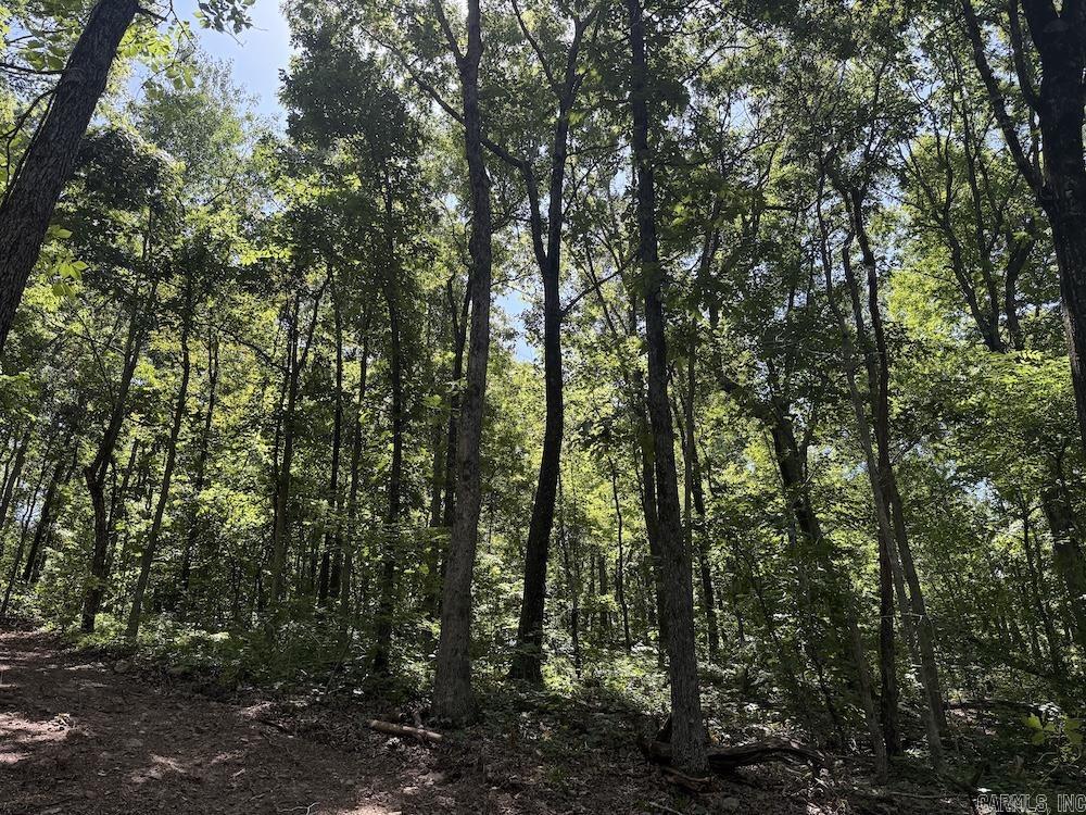 Cr 959 Property Photo 29