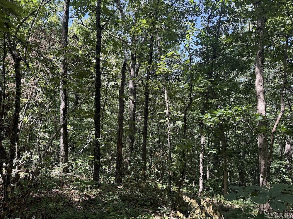 Cr 959 Property Photo 33