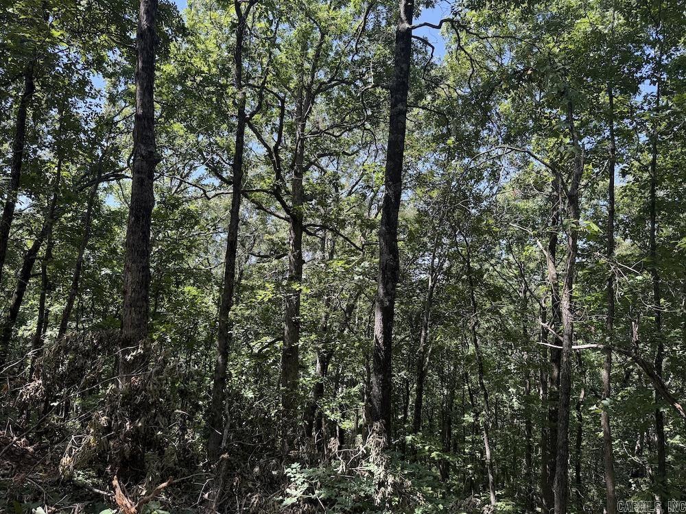 Cr 959 Property Photo 34
