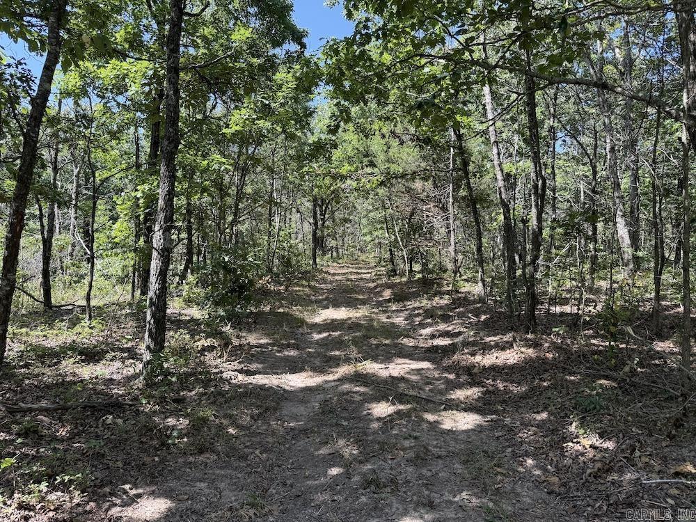 Cr 965 Property Photo 4
