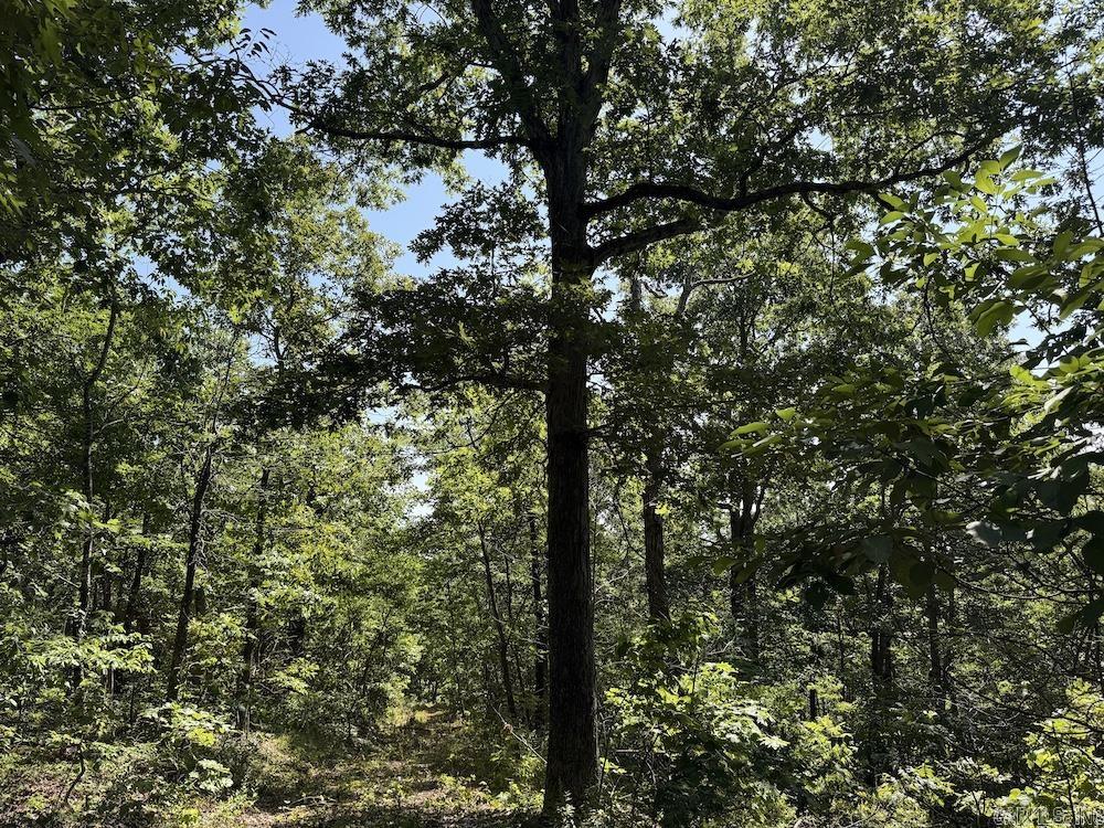 Cr 965 Property Photo 5