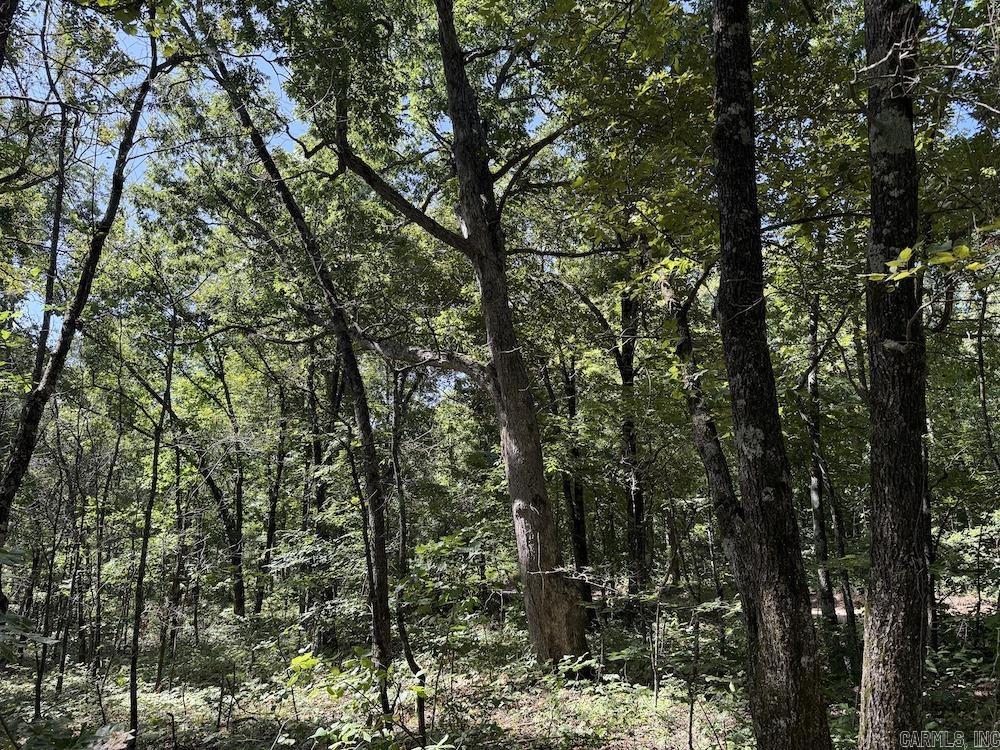 Cr 965 Property Photo 33