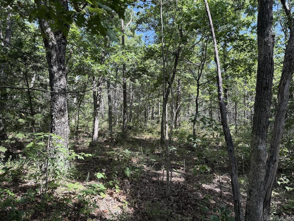 Cr 965 Property Photo 36