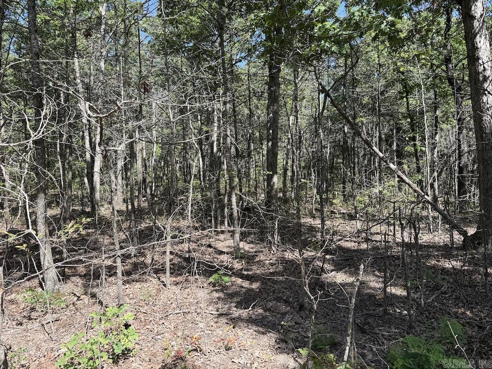 Cr 965 Property Photo 37