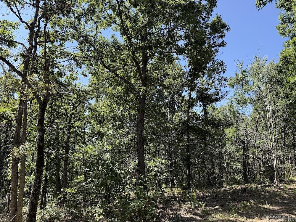 Cr 965 Property Photo 39