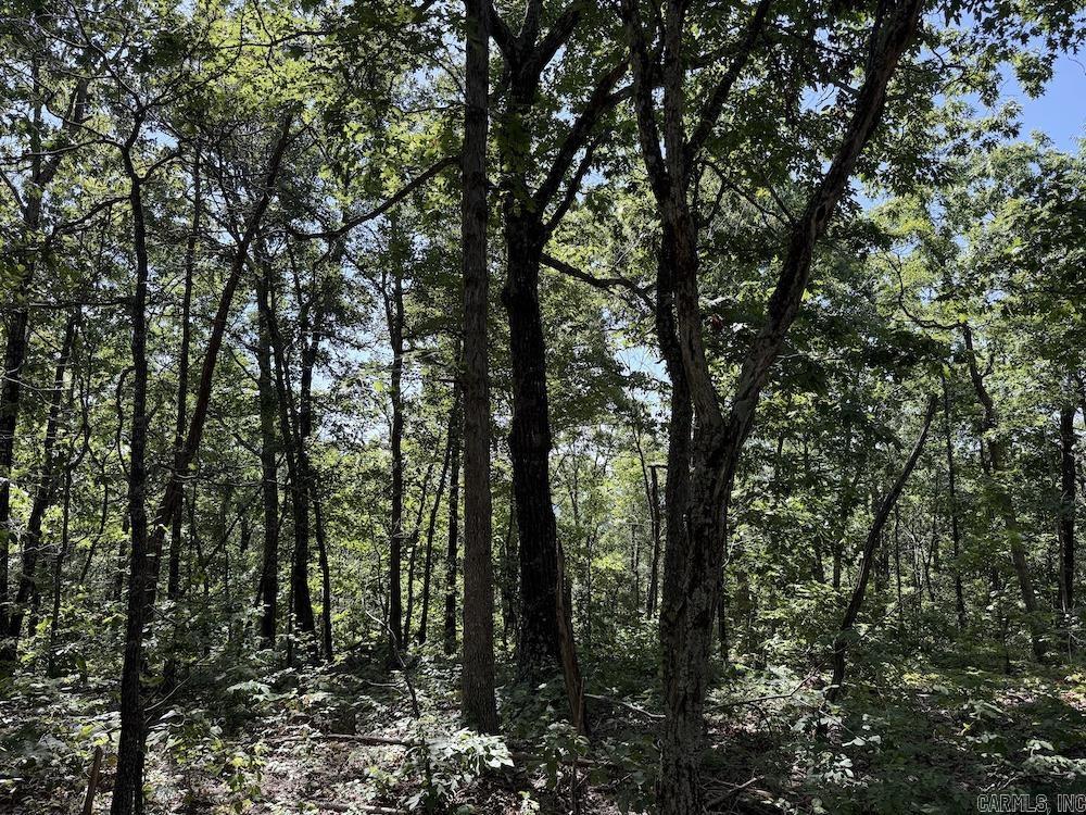 Cr 965 Property Photo 40