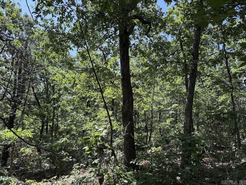 Cr 965 Property Photo 41