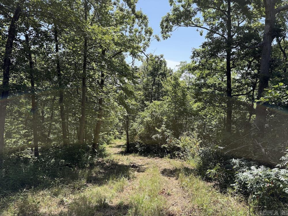 Cr 965 Property Photo 42