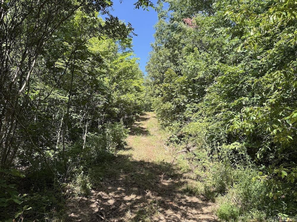 Cr 965 Property Photo 44