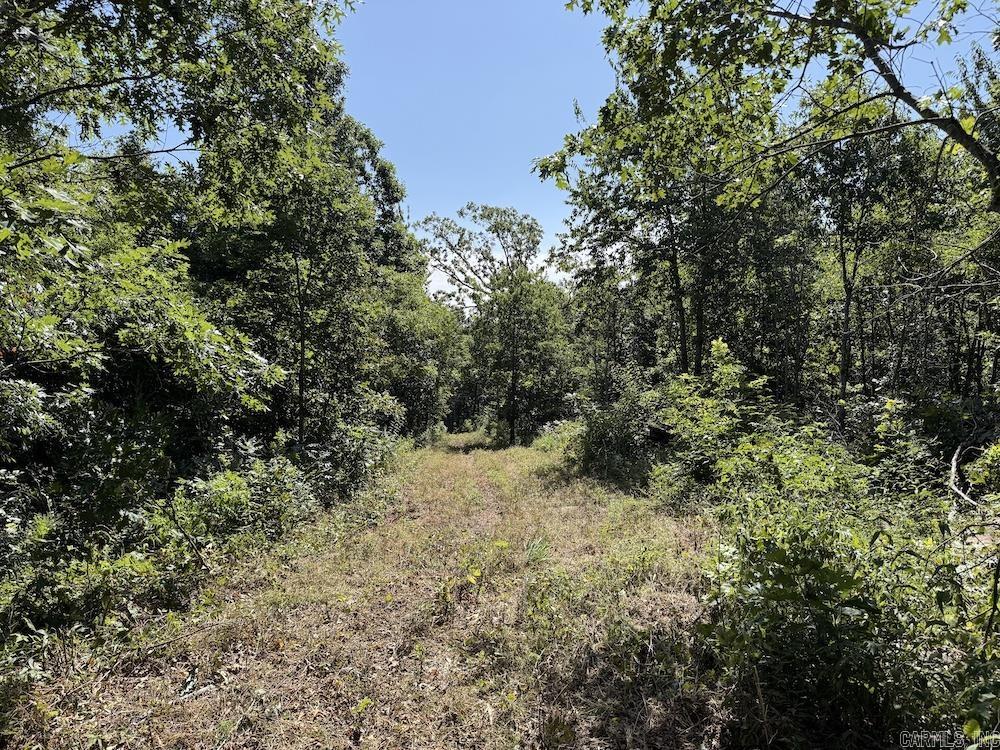 Cr 965 Property Photo 48