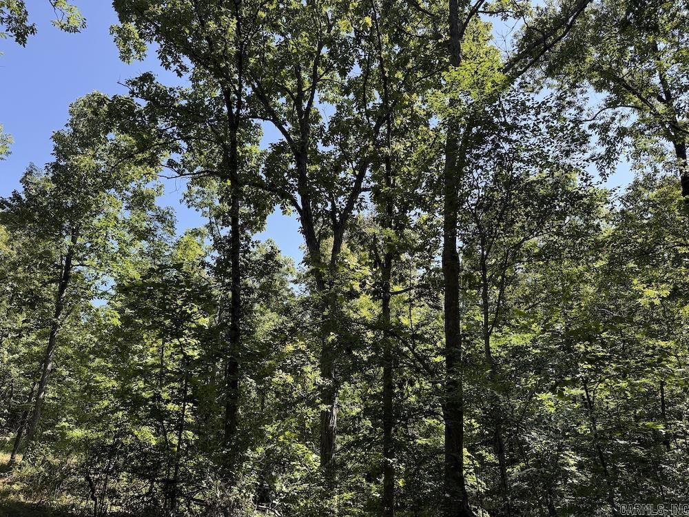 Cr 965 Property Photo 49