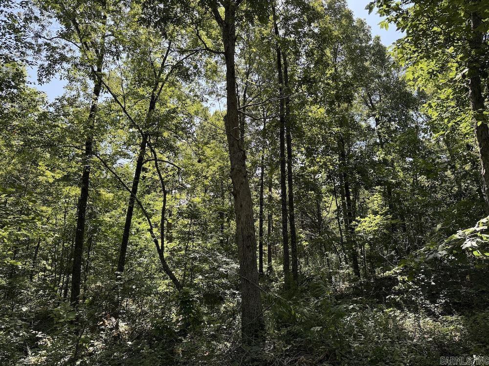 Cr 965 Property Photo 50