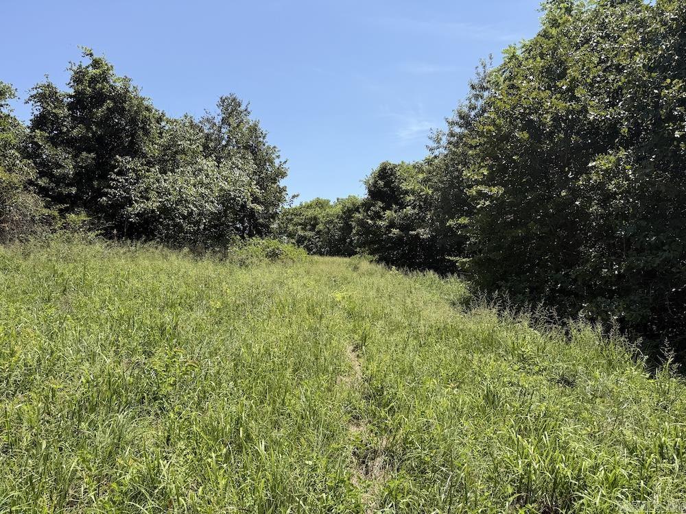 995 Cr 818 Cr 818 Property Photo 32