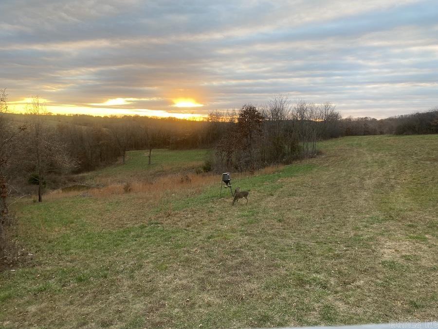995 Cr 818 Cr 818 Property Photo 37
