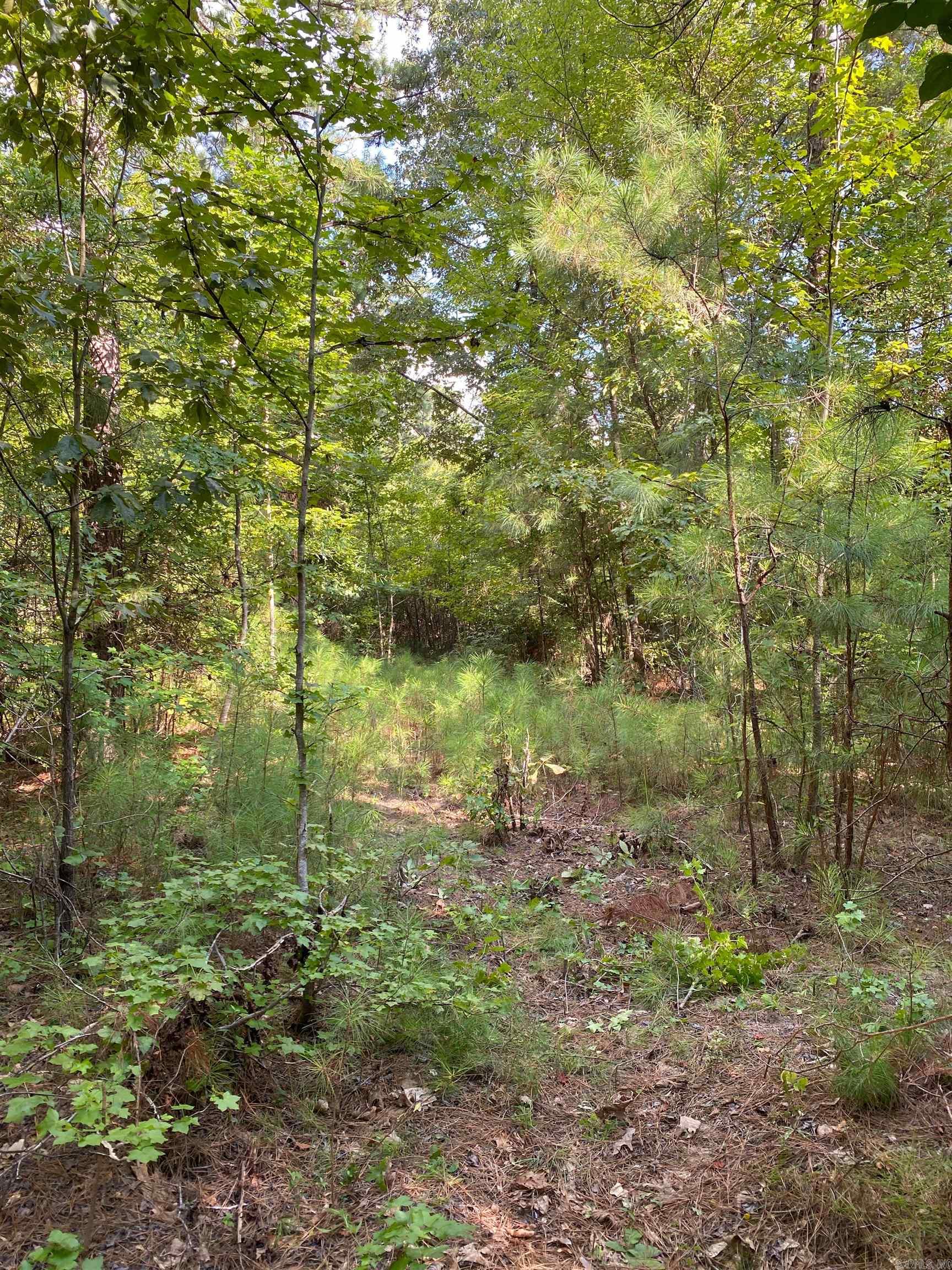 TBD Ouachita 51 Property Photo 1
