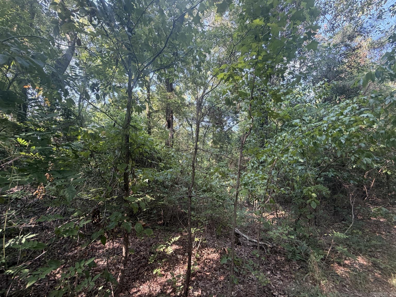 Tbd Ouachita 51 Property Photo 6