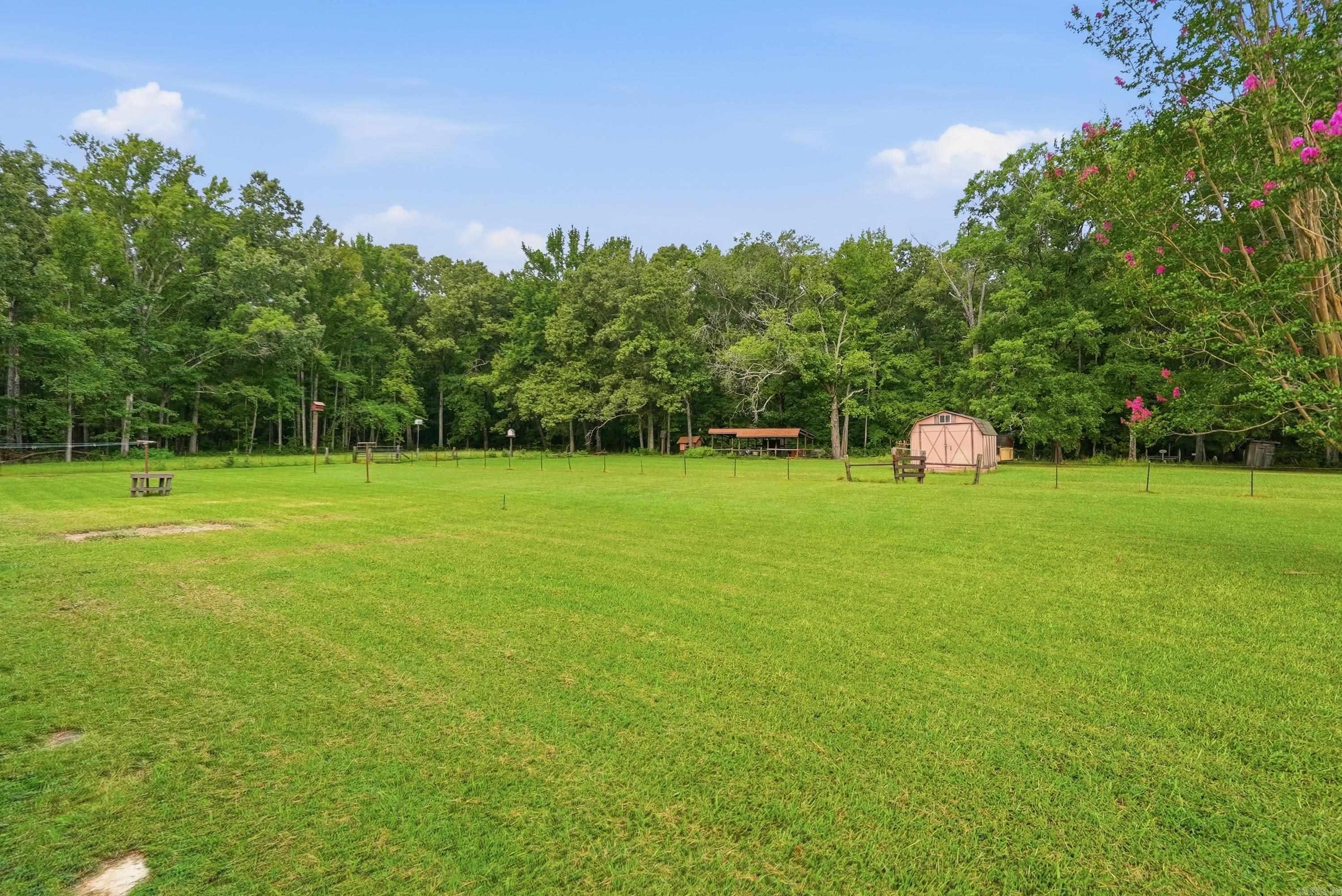 62 Janski Lane Property Photo 39