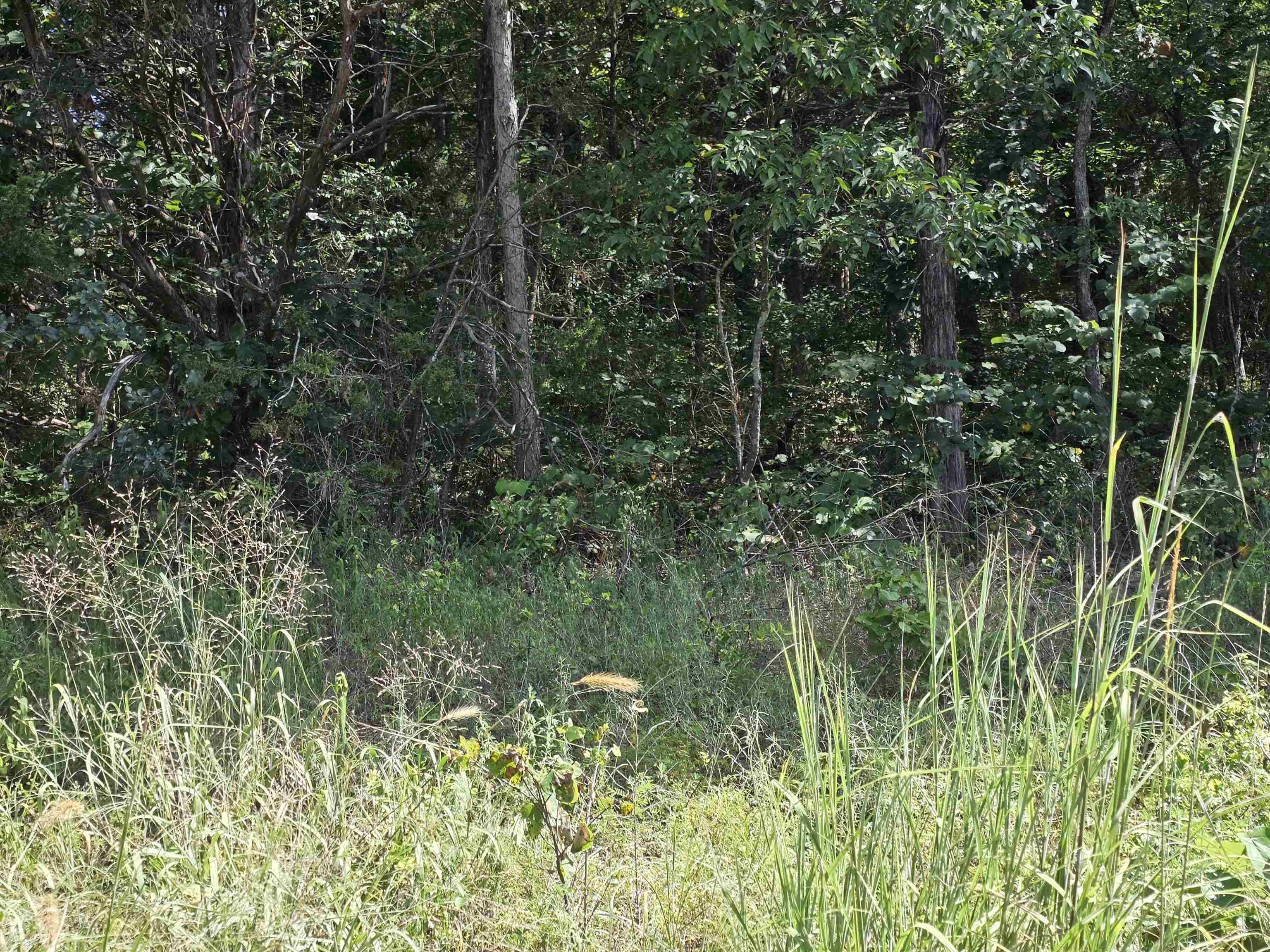 L14b4 Pawnee Drive Property Photo 9
