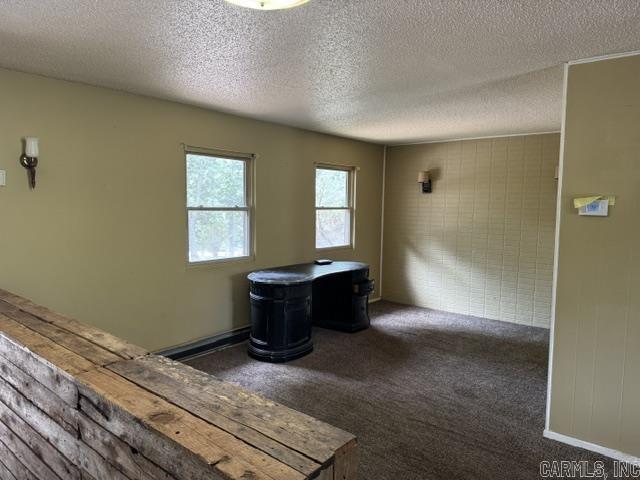 13371 Hwy. 115 Property Photo 11