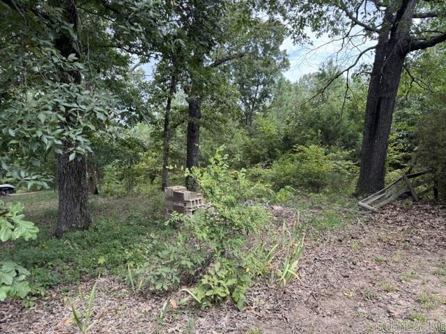 13371 Hwy. 115 Property Photo 25