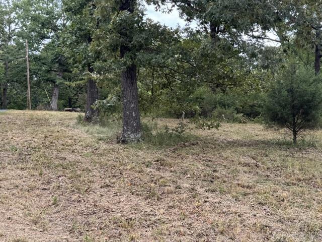 13371 Hwy. 115 Property Photo 26