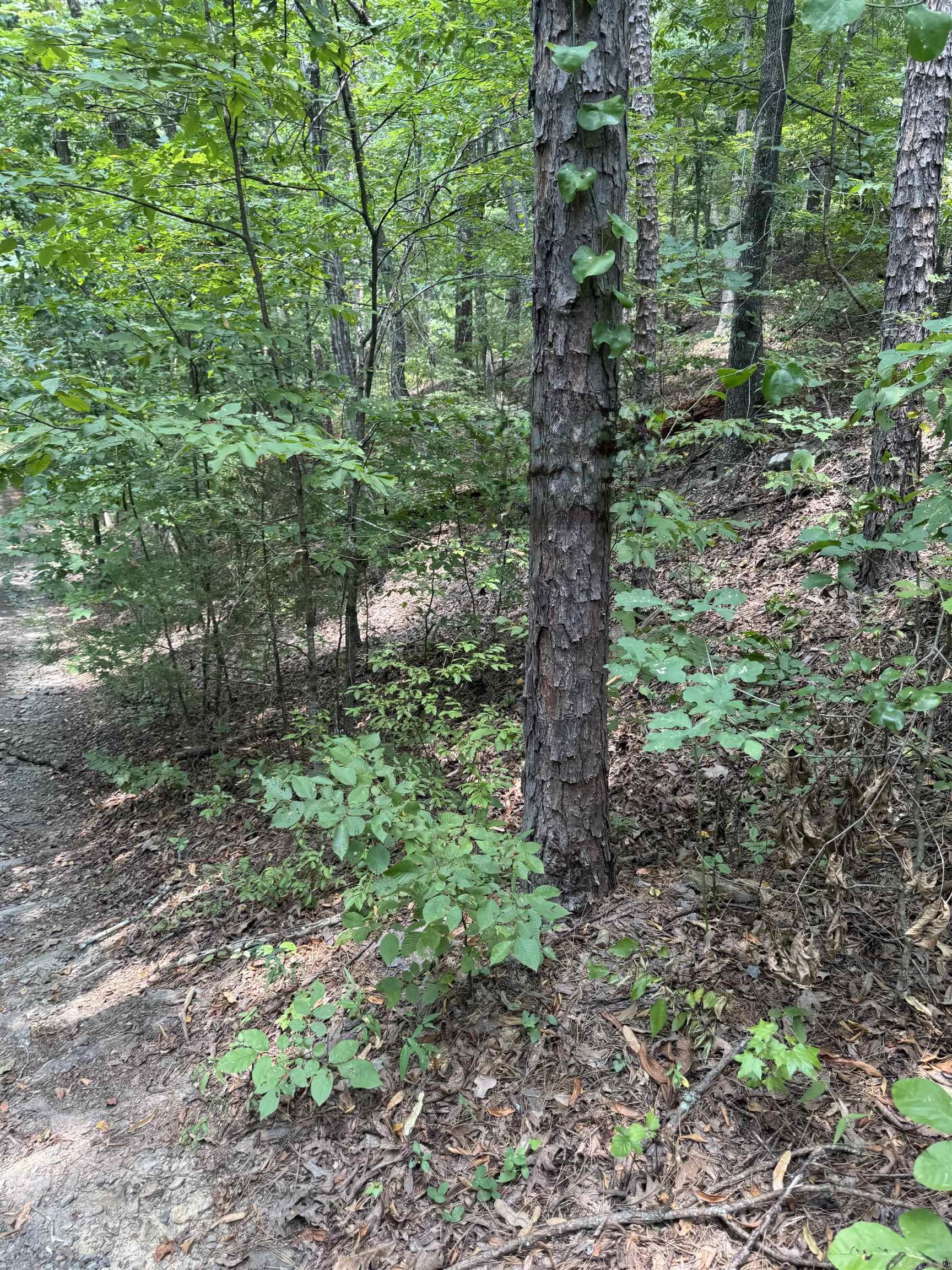 Tract 6 Cascadia Beach Property Photo 7