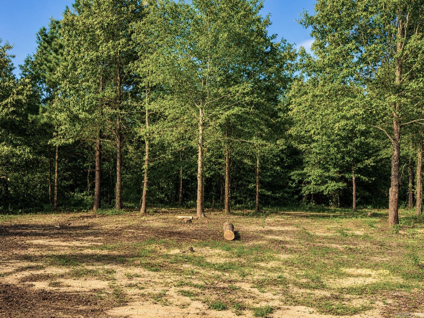 0 W Highway 270 Property Photo 3