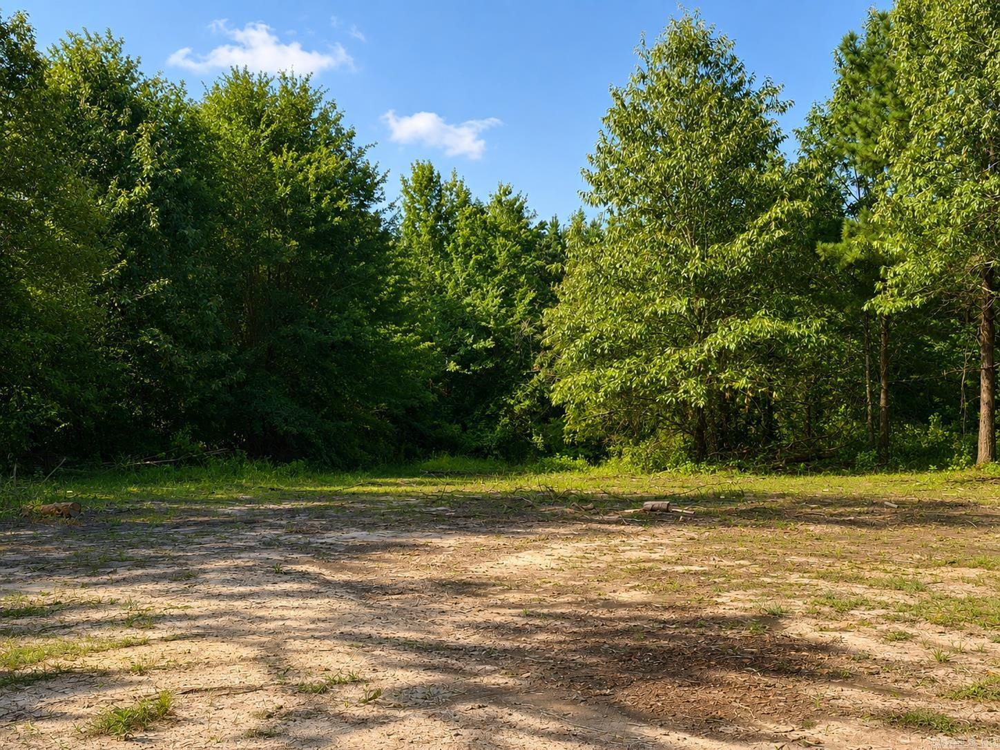 0 W Highway 270 Property Photo 4