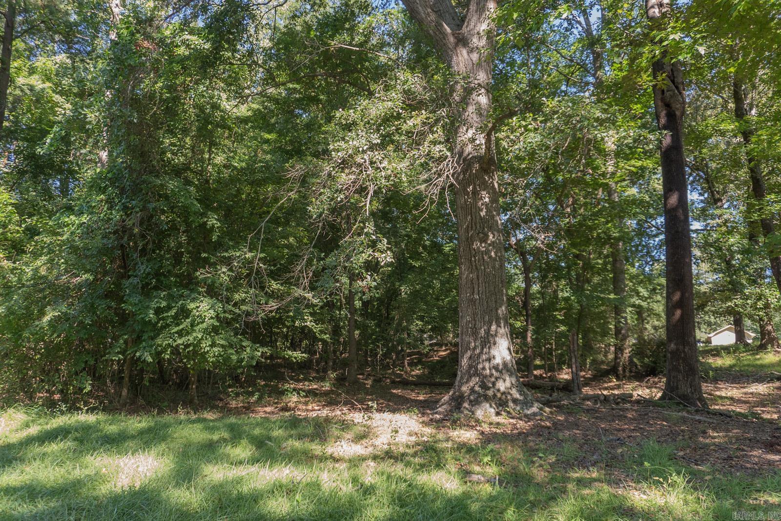 Tbd North Park Drive Property Photo 1
