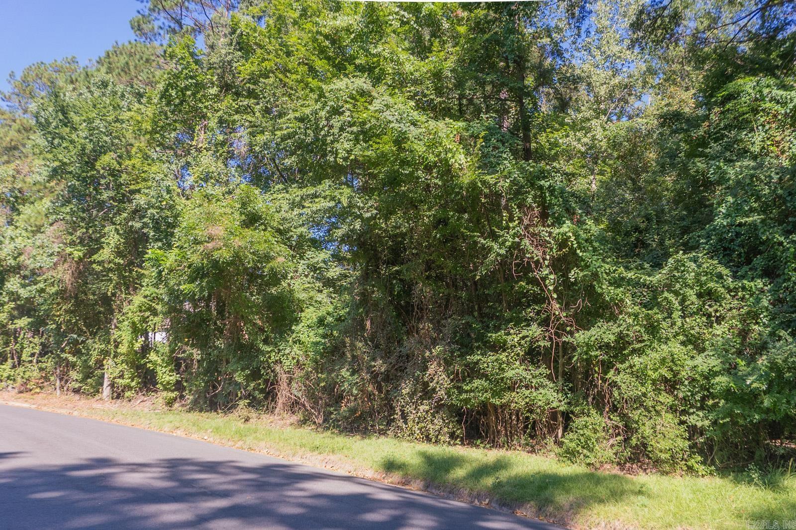 Tbd North Park Drive Property Photo 2