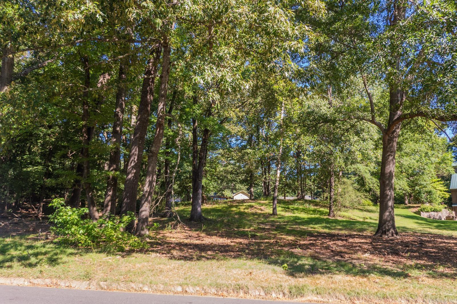Tbd North Park Drive Property Photo 1