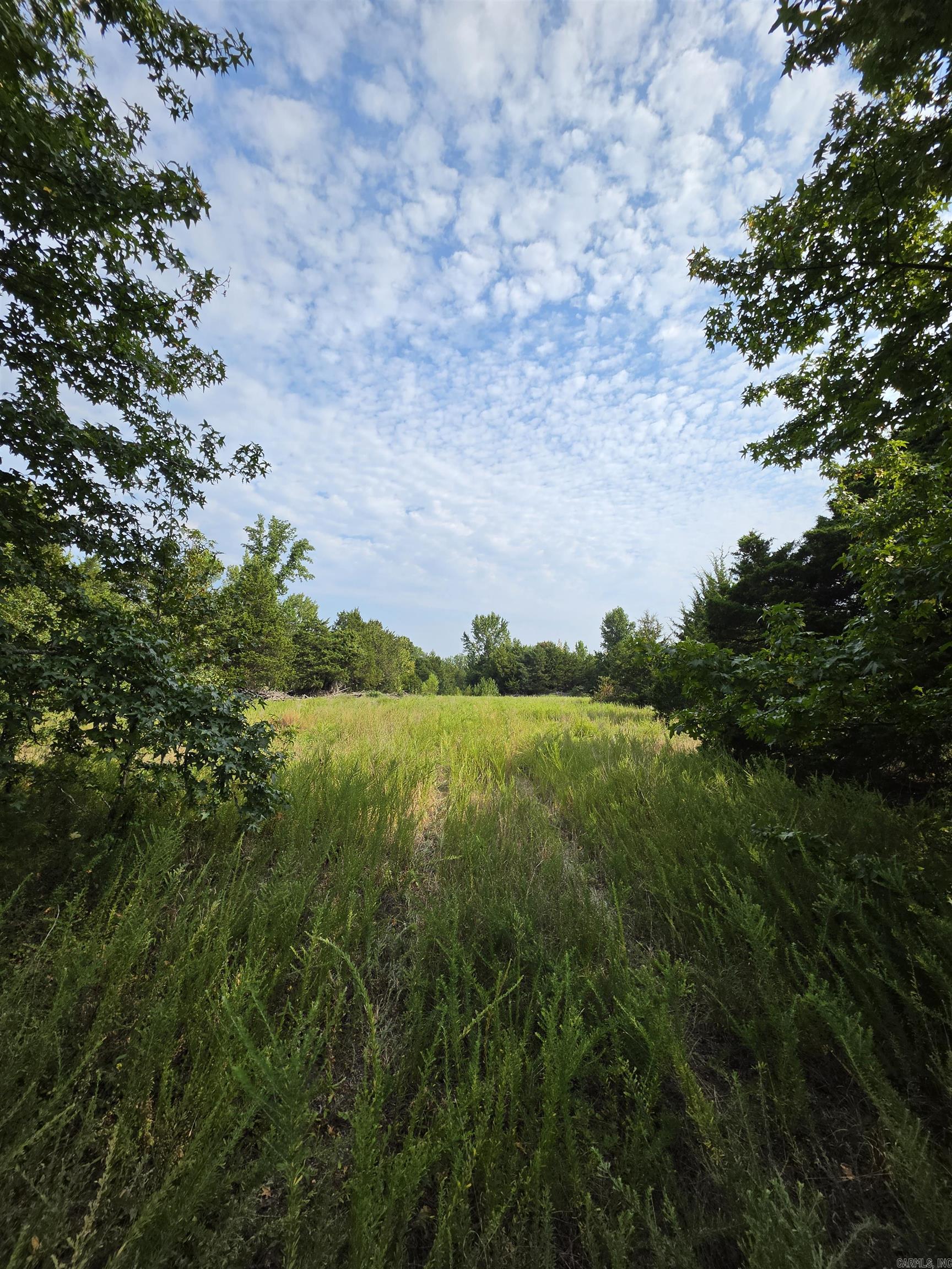 00 Hwy 36 Property Photo 12