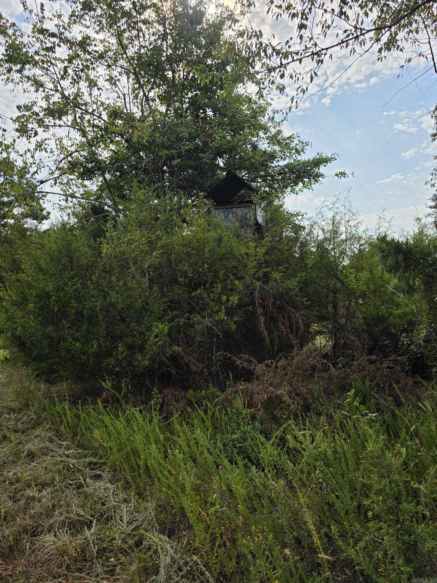 00 Hwy 36 Property Photo 15