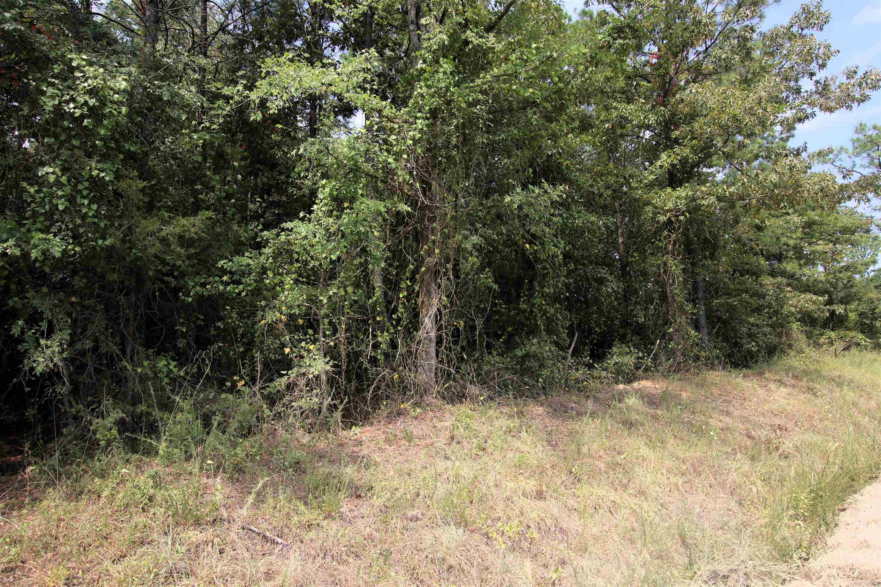 000 Ar 95 Highway Property Photo 1