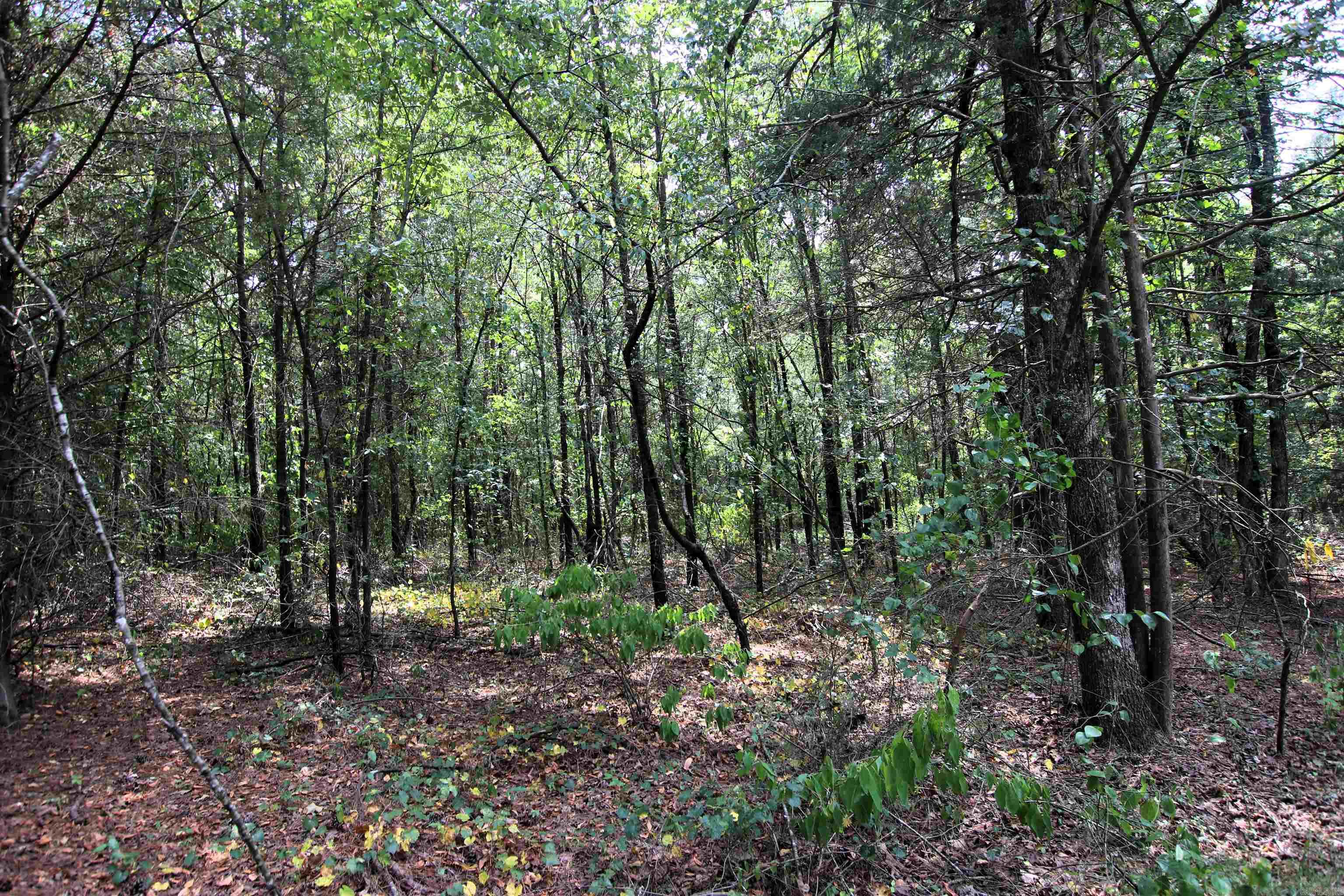 000 Ar 95 Highway Property Photo 20
