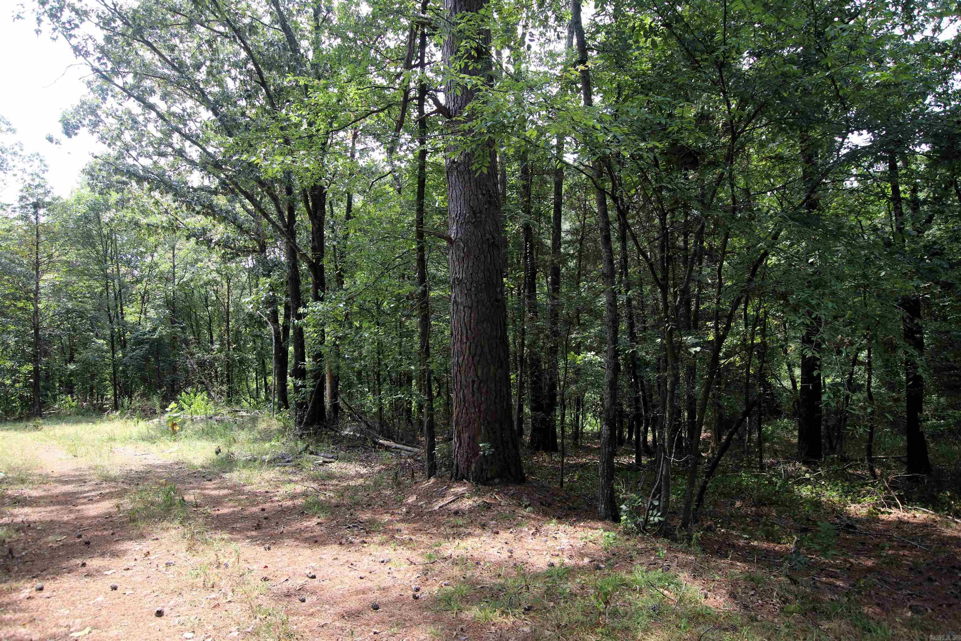 000 Ar 95 Highway Property Photo 21