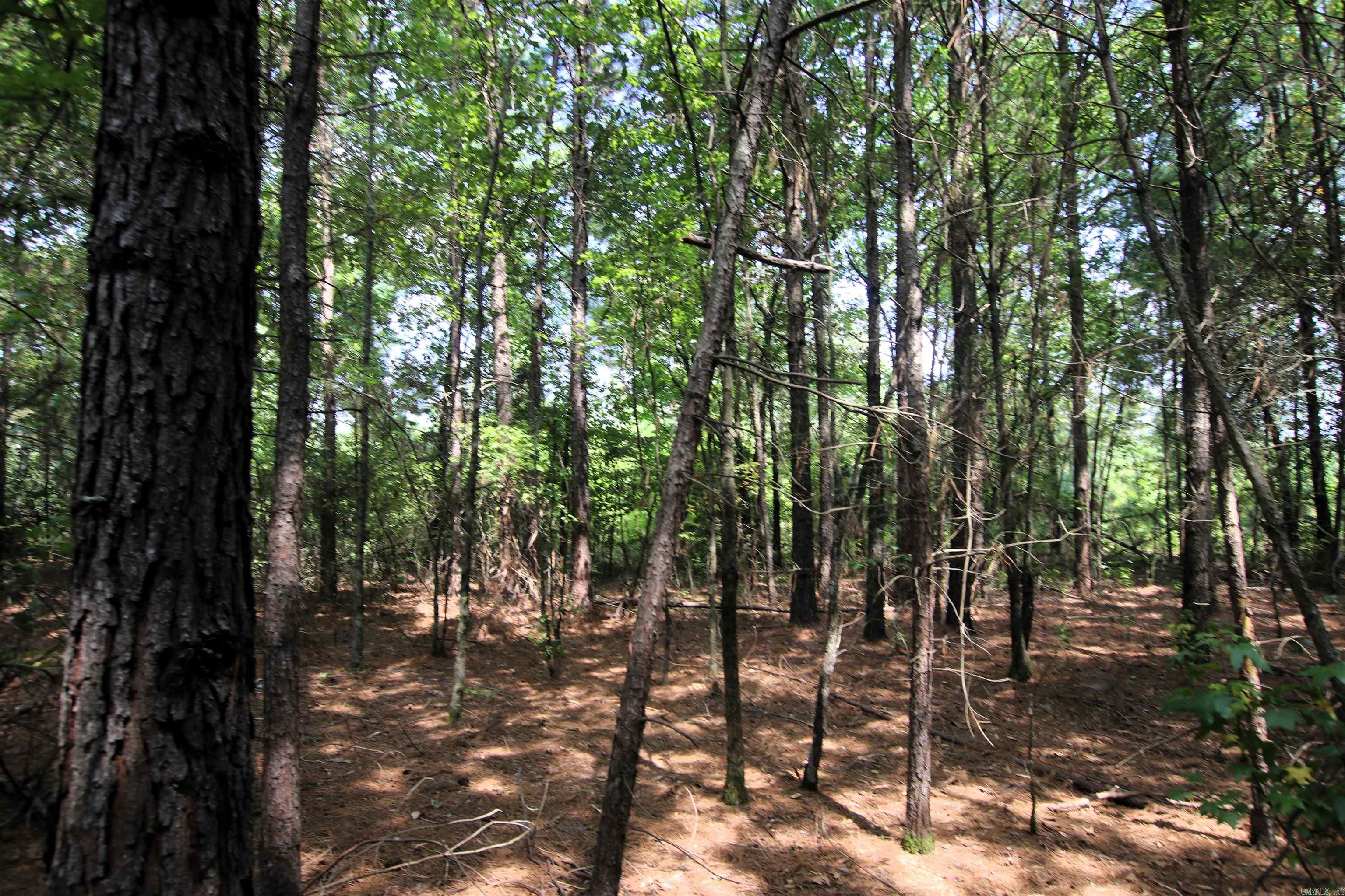 000 Ar 95 Highway Property Photo 31