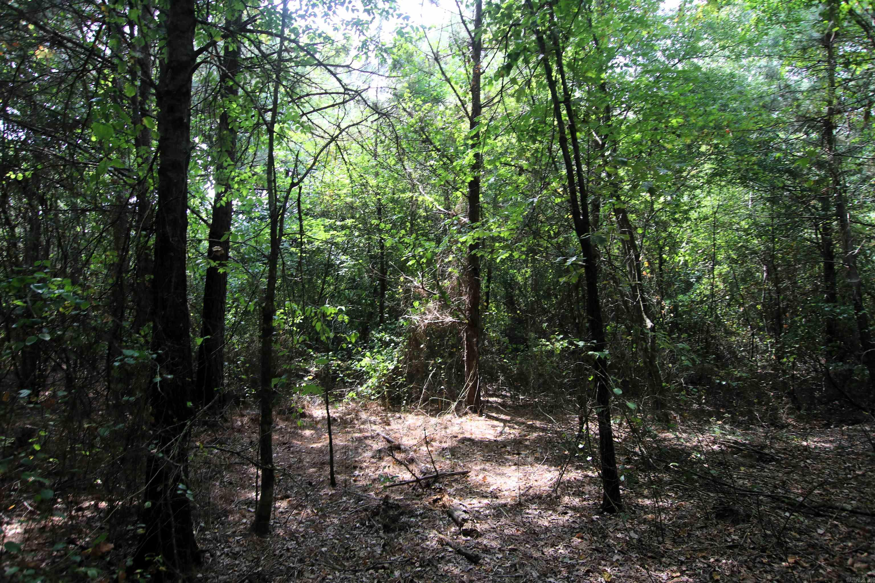 000 Ar 95 Highway Property Photo 32