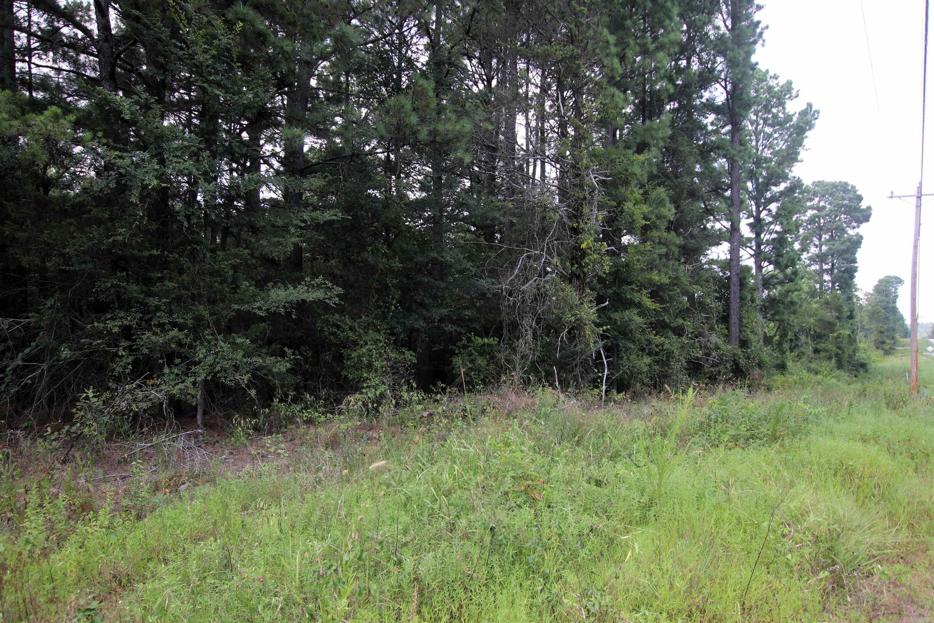 000 Ar 95 Highway Property Photo 16