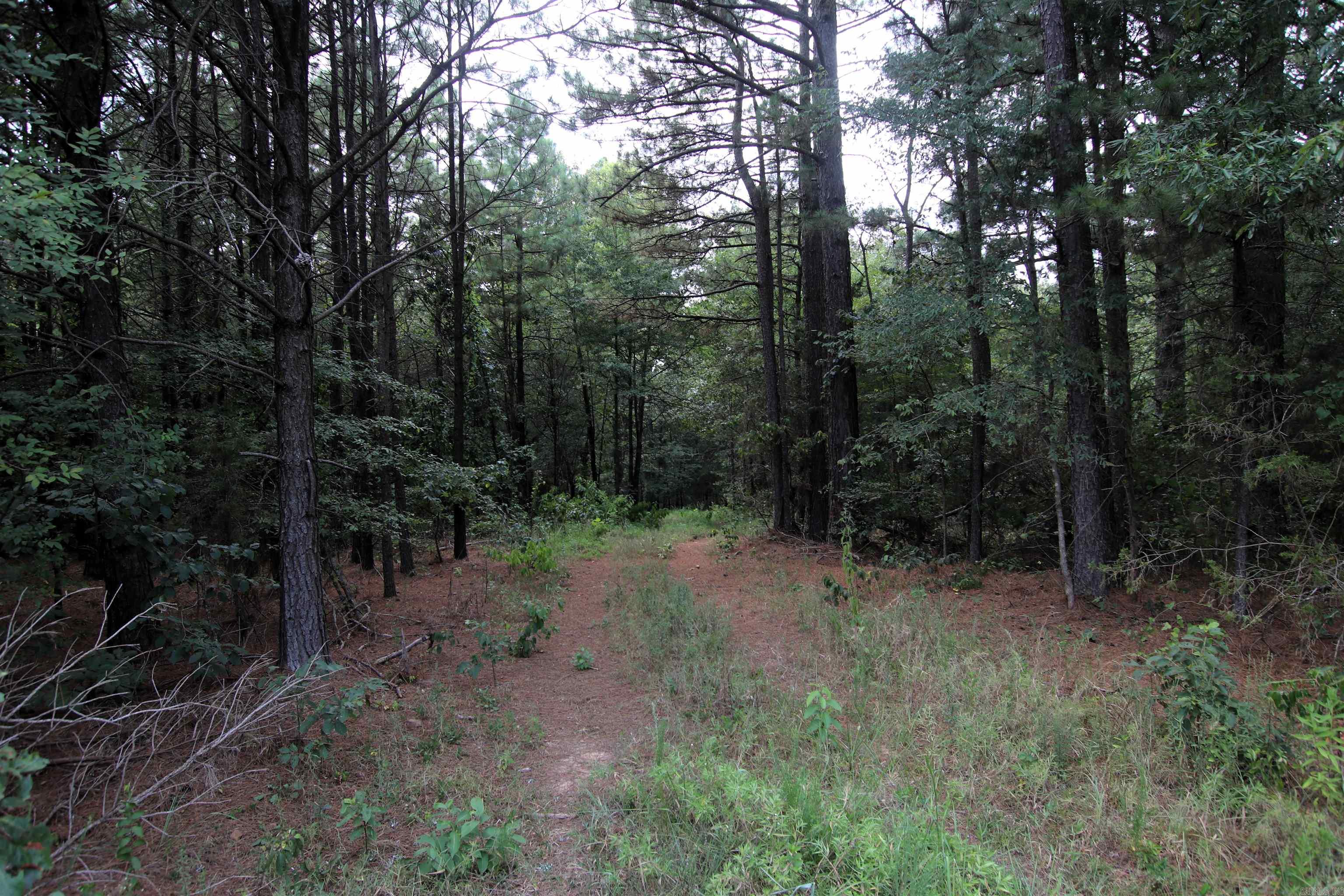 000 Ar 95 Highway Property Photo 18