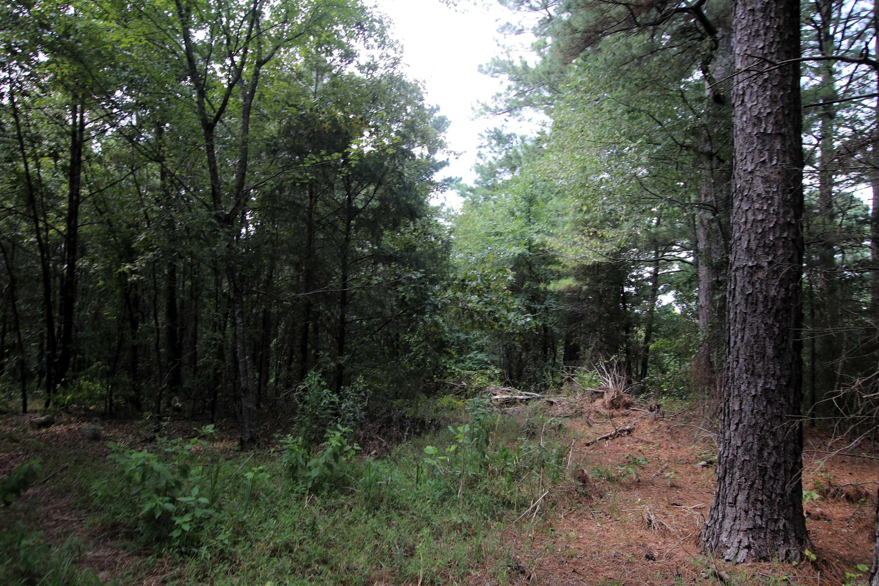 000 Ar 95 Highway Property Photo 19