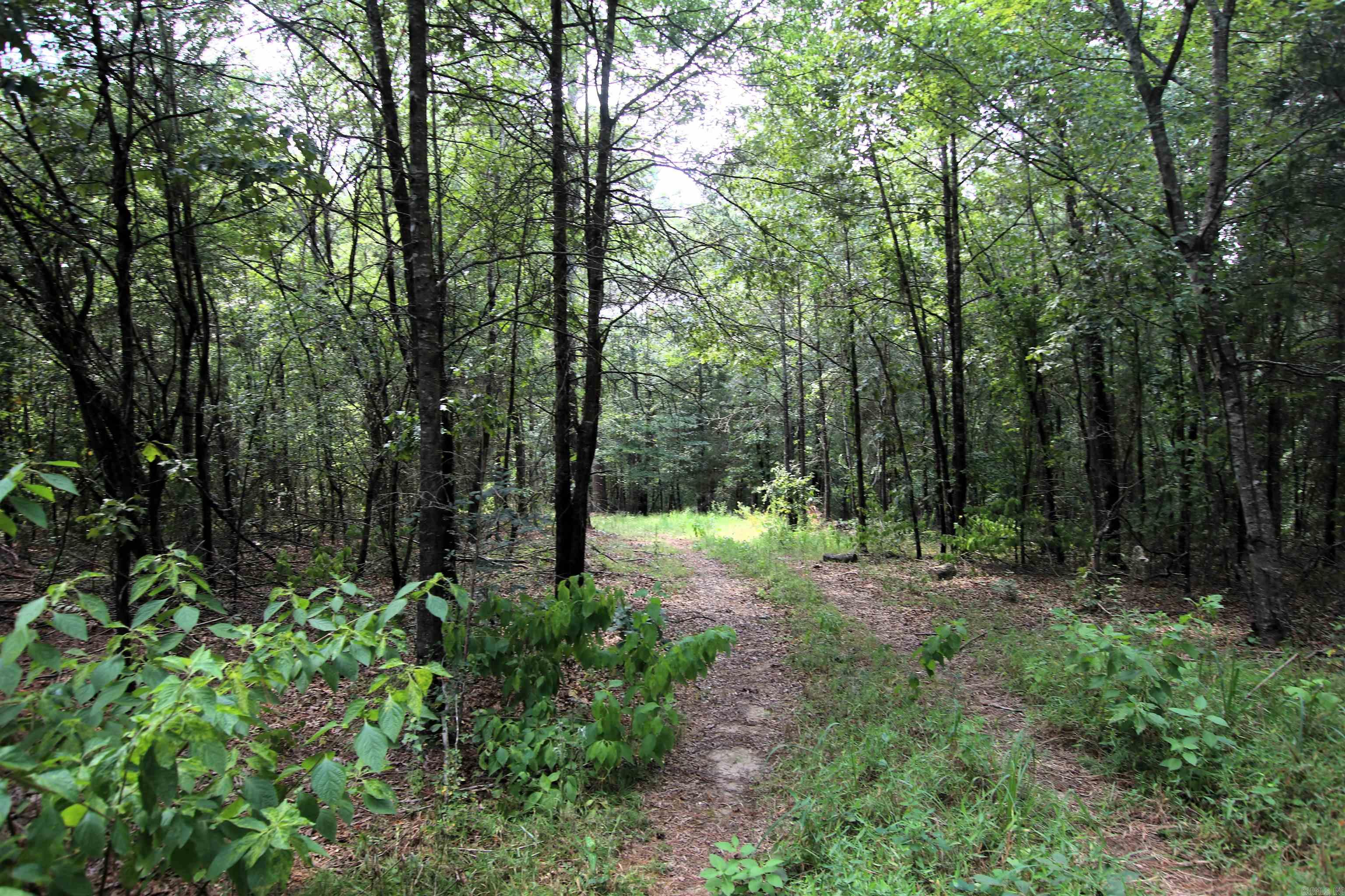 000 Ar 95 Highway Property Photo 20