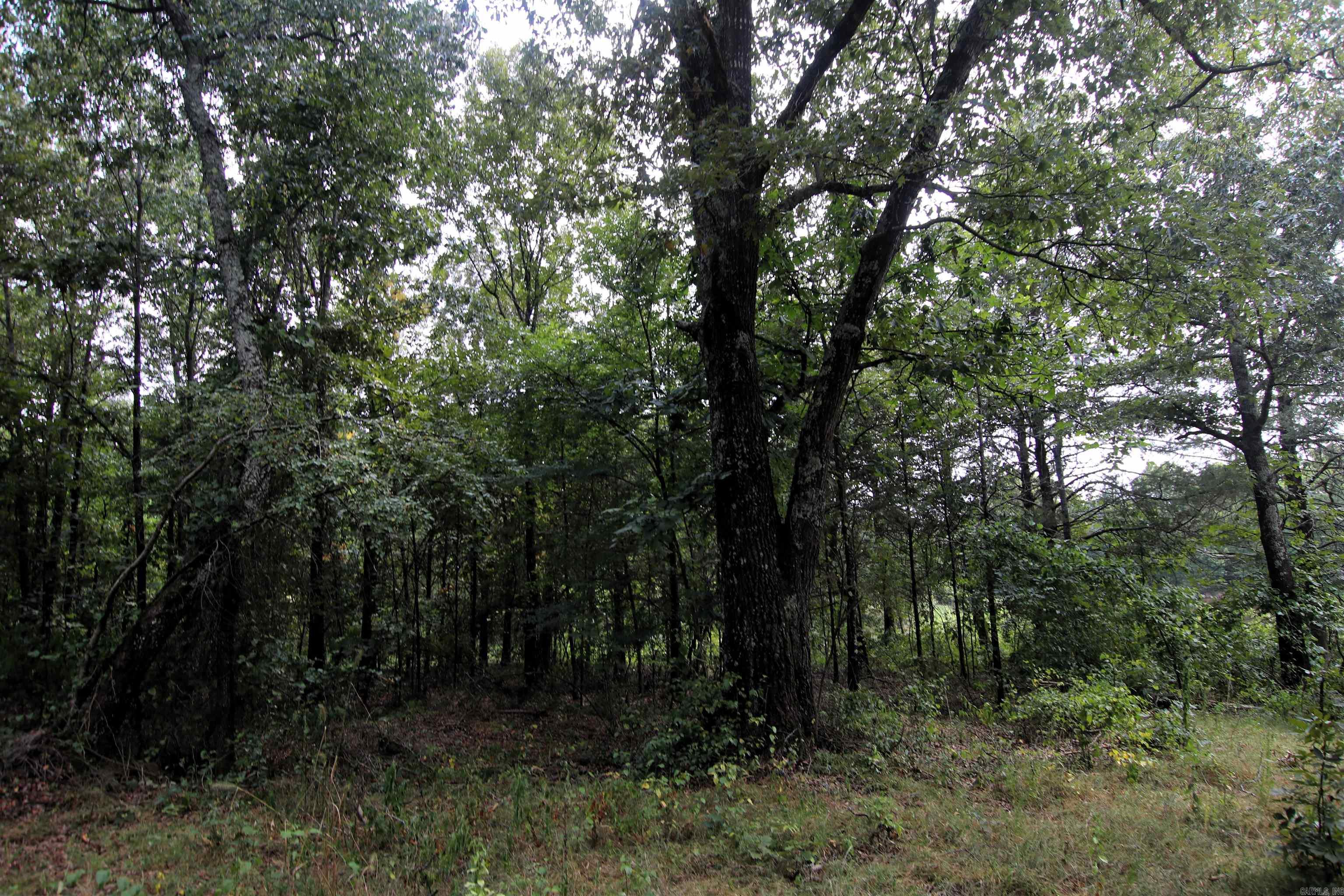 000 Ar 95 Highway Property Photo 23